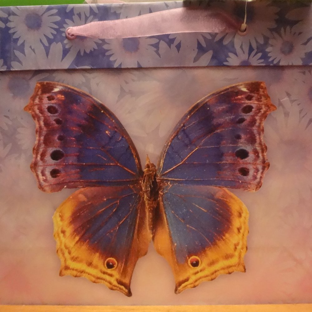 💥Magical Butterfly Gift Bag with Card and Tissue Paper